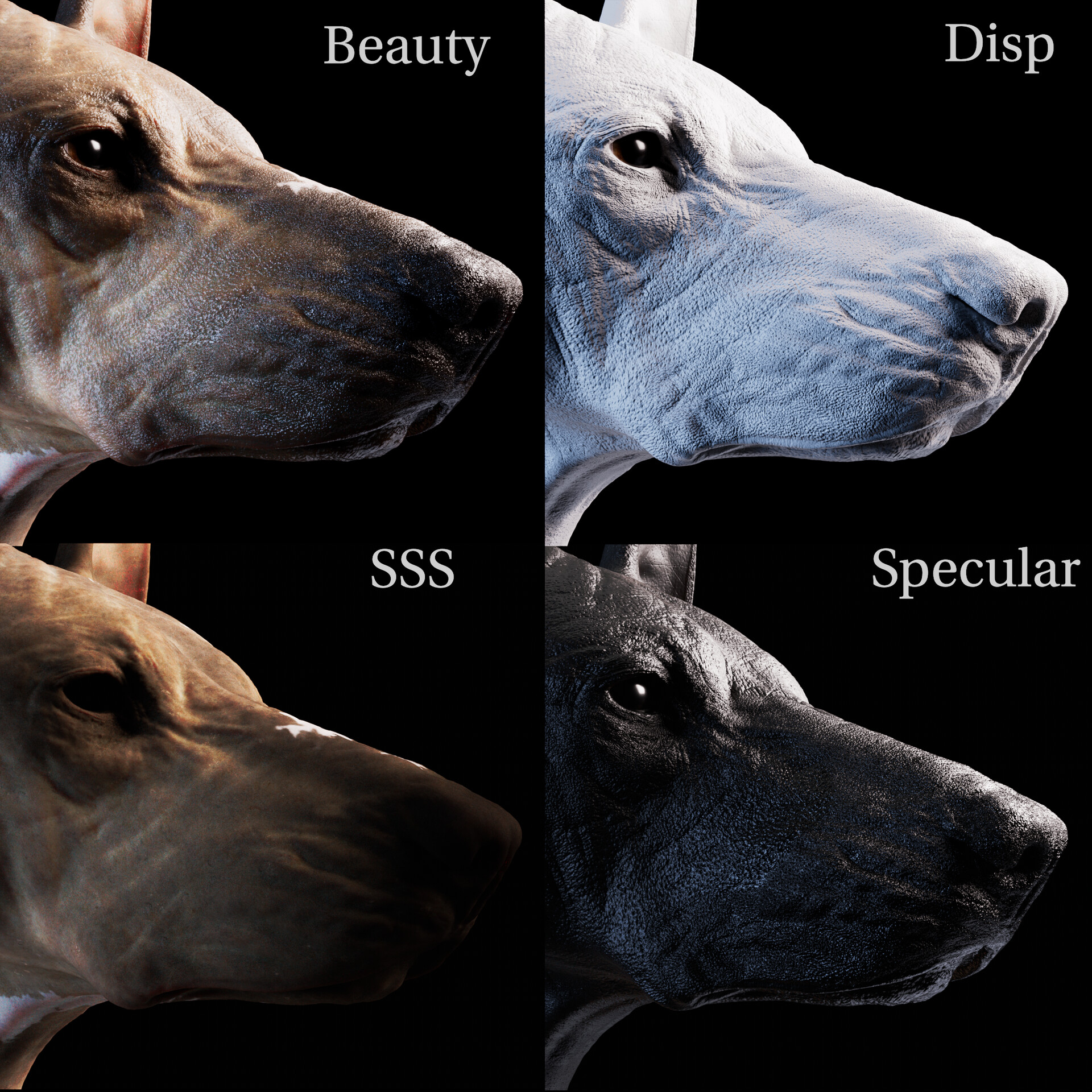 Xolo: Animal Texturing in Mari – image 1