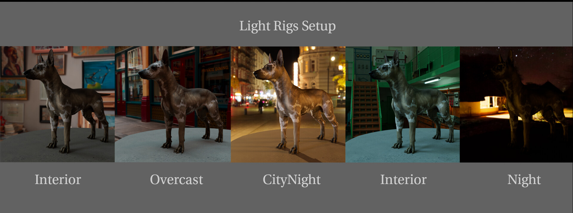 Xolo: Animal Texturing in Mari – image 2