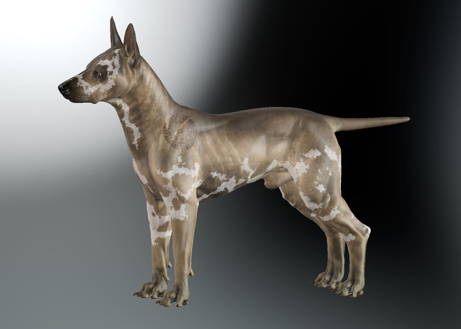 Xolo: Animal Texturing in Mari – image 3