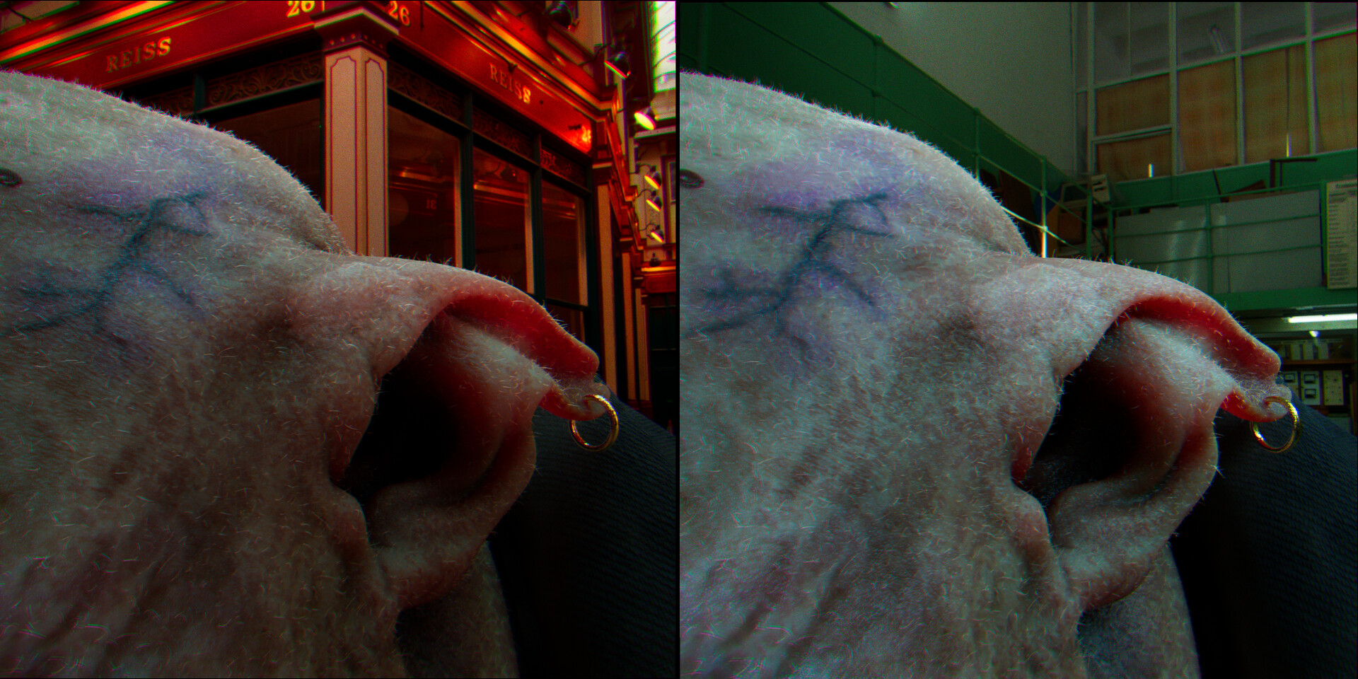 Look Dev Update – image 3