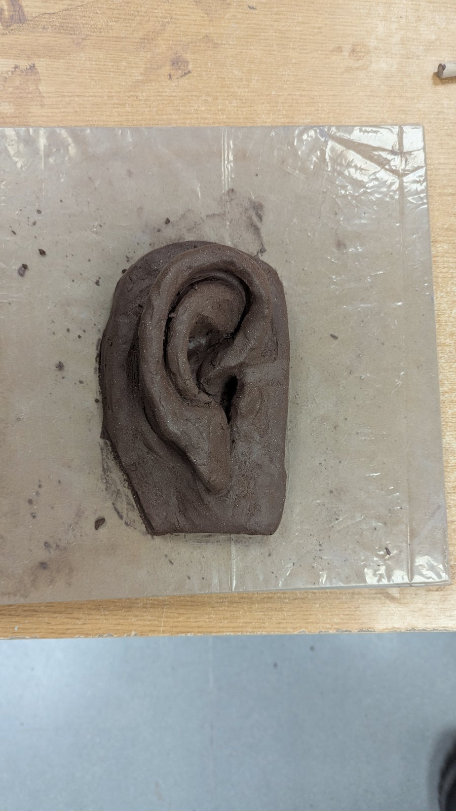 Ear Study (Relief) – image 3