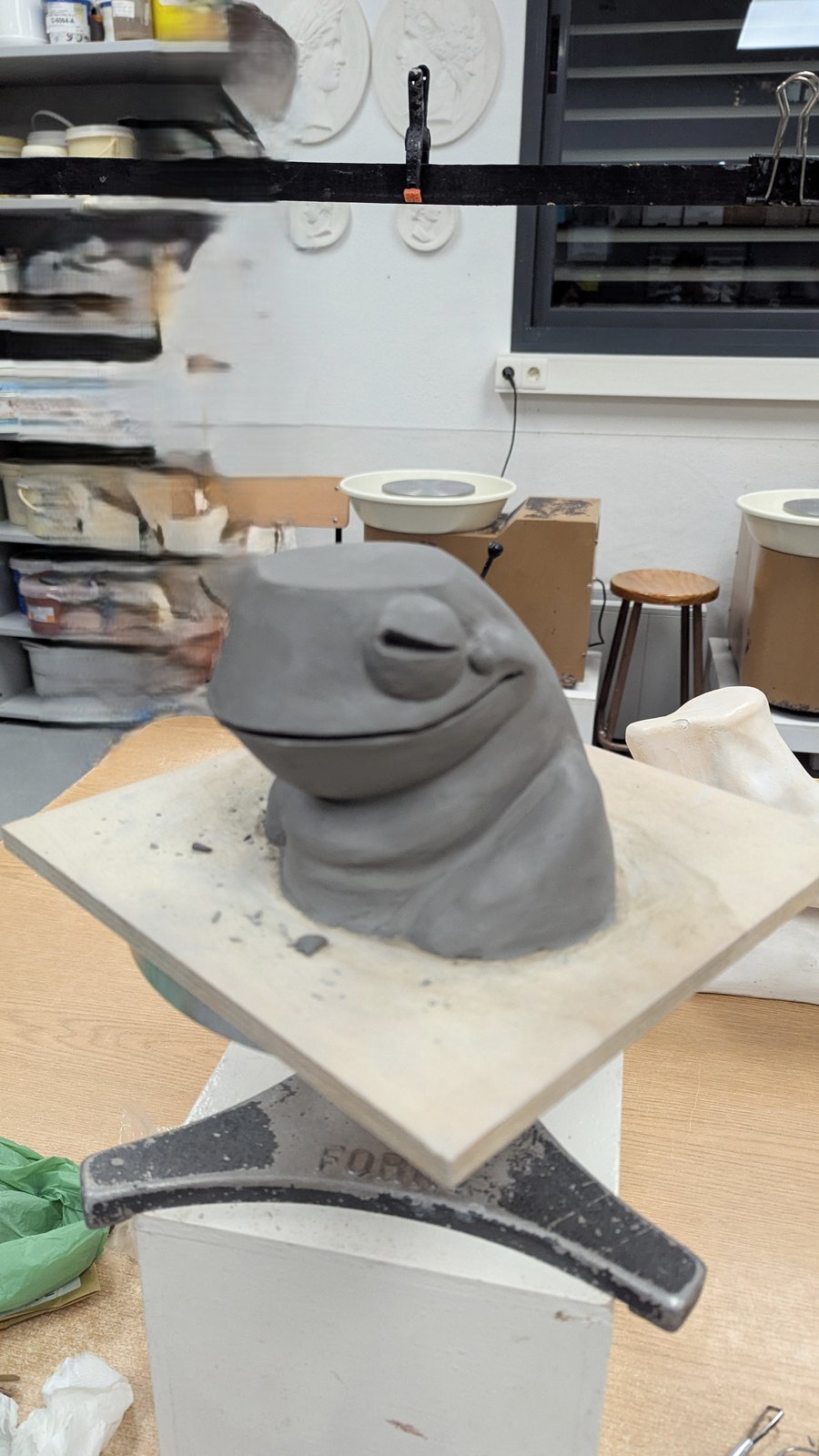 Frog – image 9
