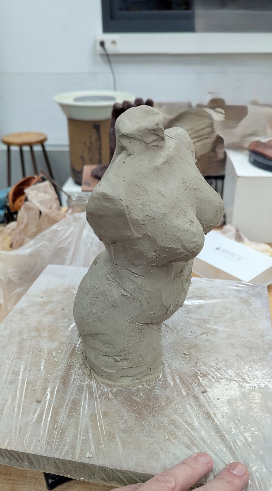 Torso Study – image 2