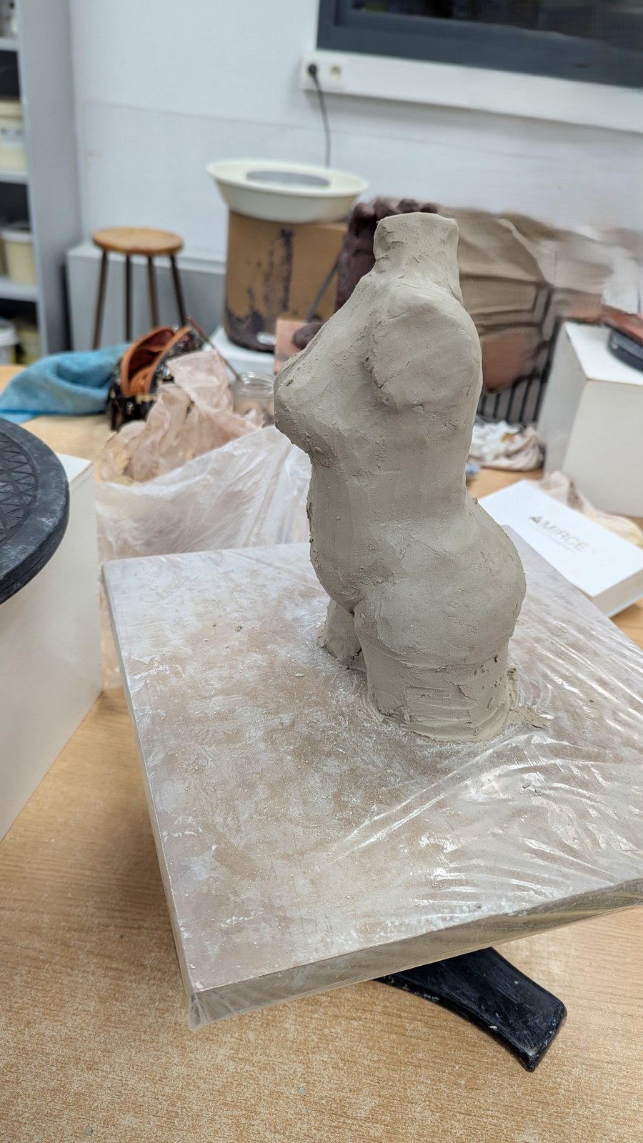 Torso Study – image 3