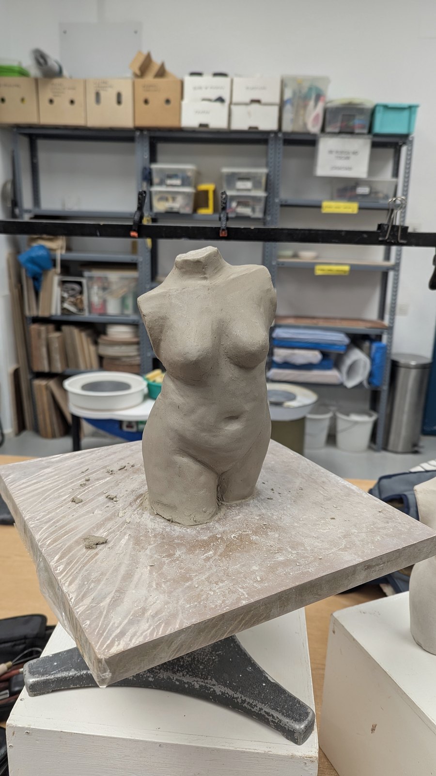 Torso Study – image 4