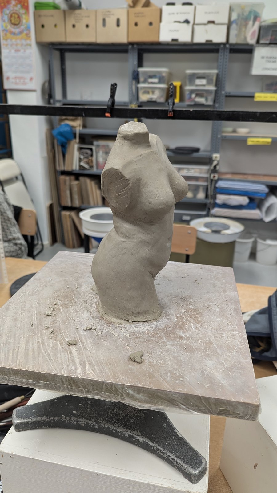 Torso Study – image 5