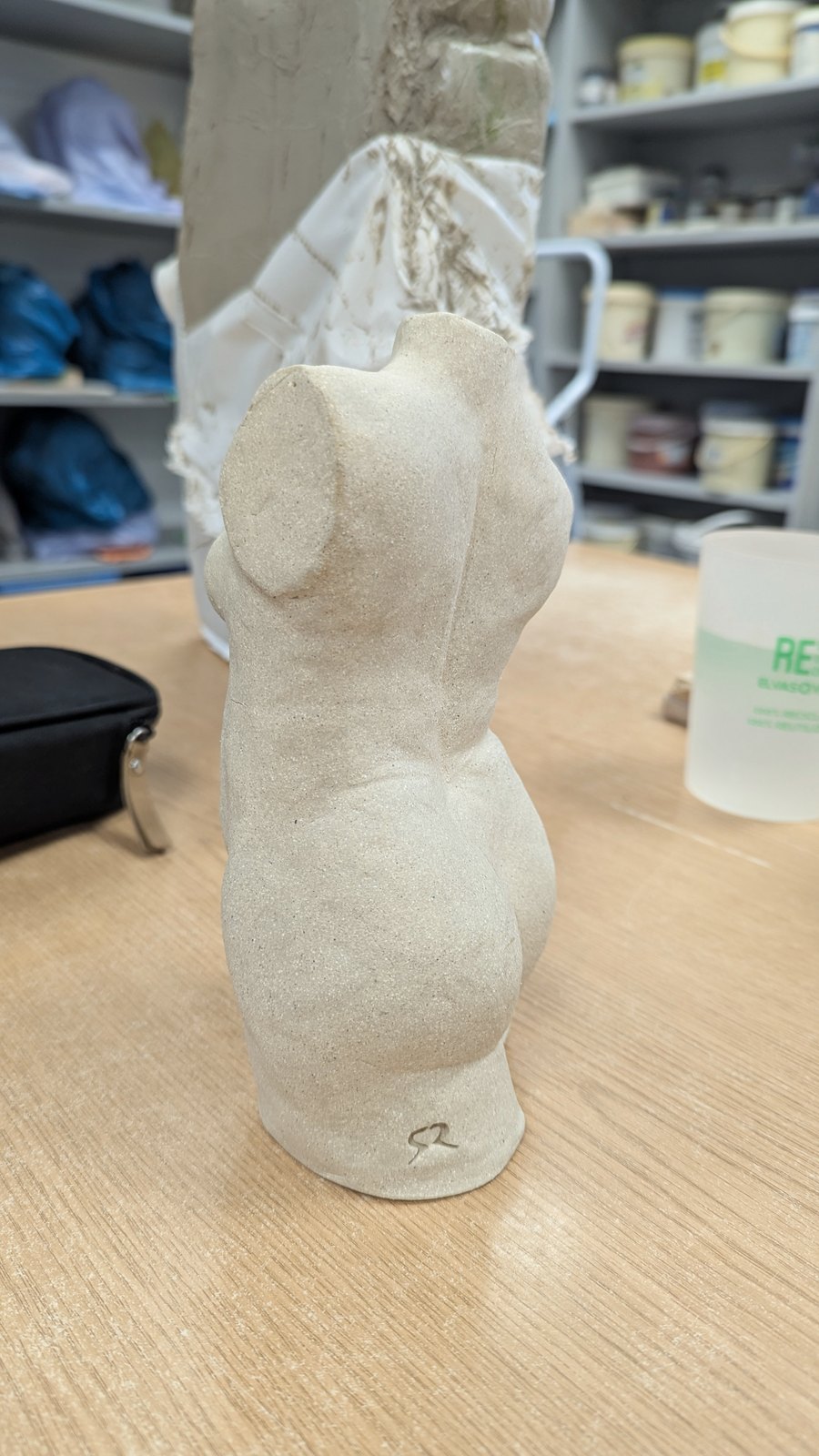 Torso Study – image 8